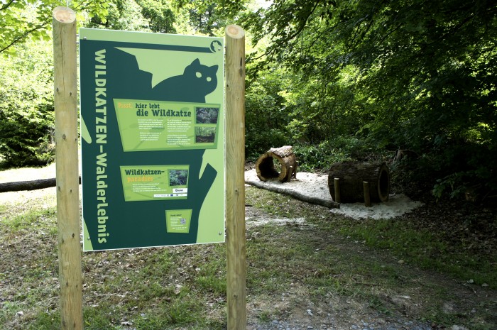 Hinweistafel am BUND-Wildkatzen-Walderlebnispfad 